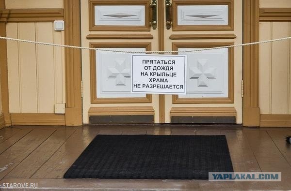 Имам пускает погреться бездомных кошек в мечеть
