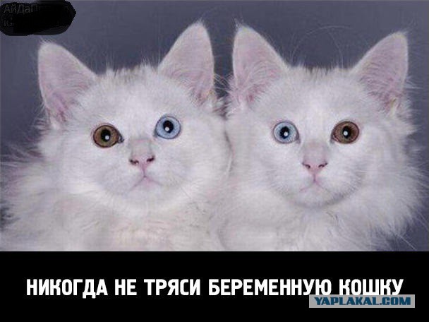 Подборка картинок