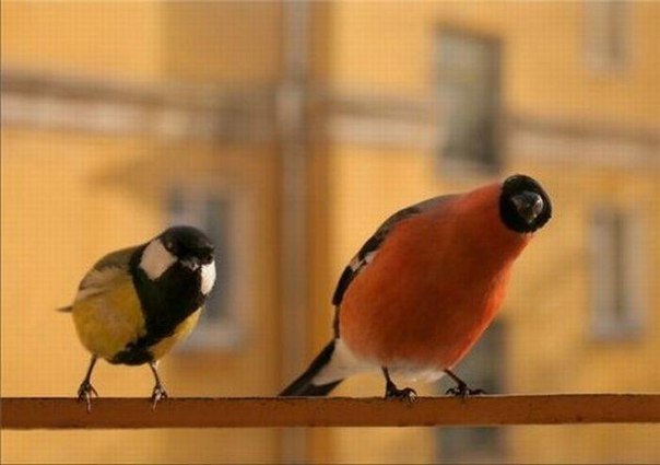 Славянская Душа