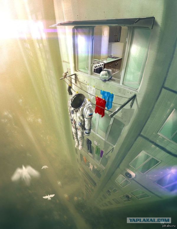 Картинки из сети