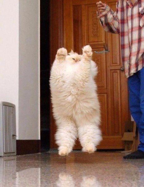 Подборка картинок на среду