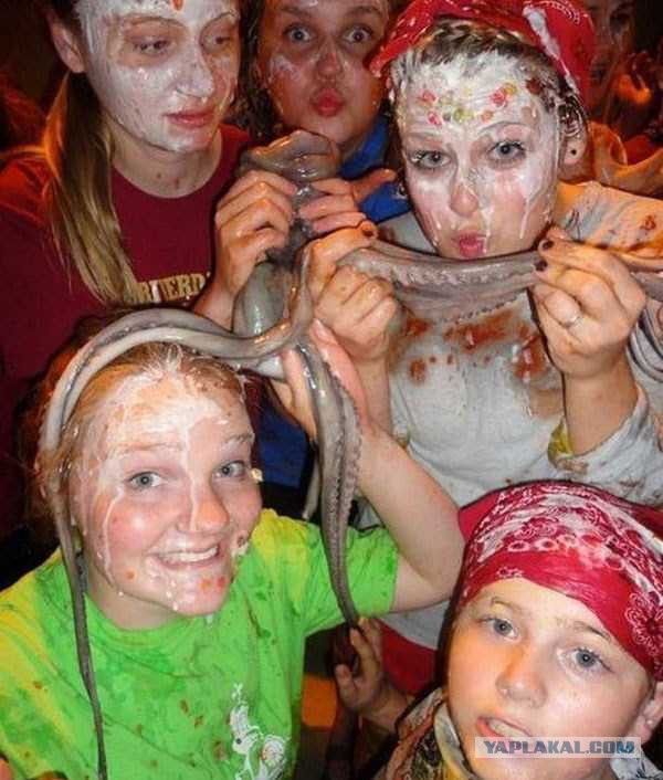 WTF: Что тут происходит?