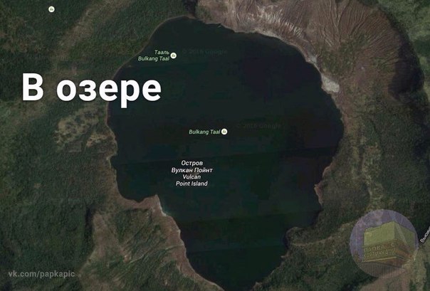 Подборка прикольных фото