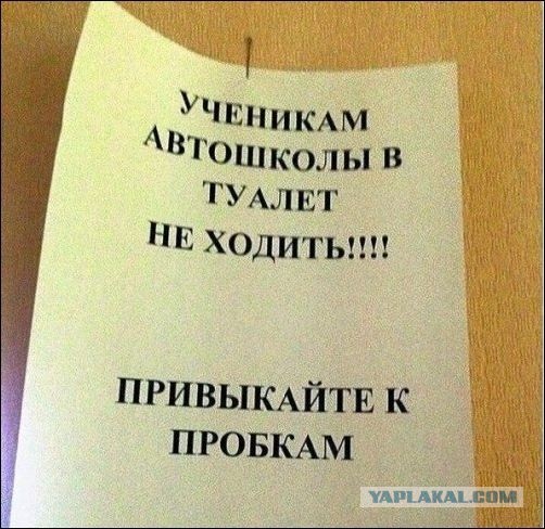 Подборка веселых картинок с тырнета