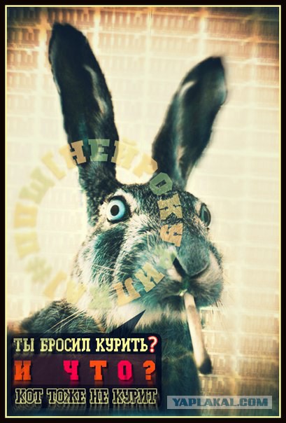 НестандART v. 17.0
