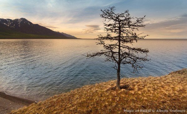 Моменты, запечатлённые на фото и просто позитив 5
