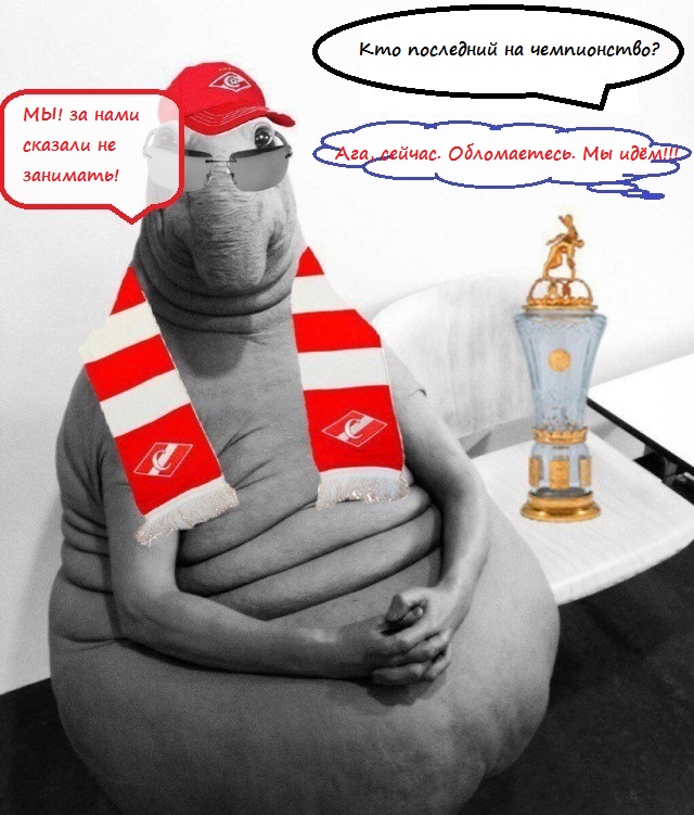 Футбол Чемпионат России 2016-17. Кубок России,РФПЛ,ФНЛ. Часть 11