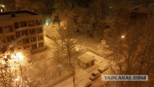 Меняй резину, говорили они, задолбал цокать, говорили они...