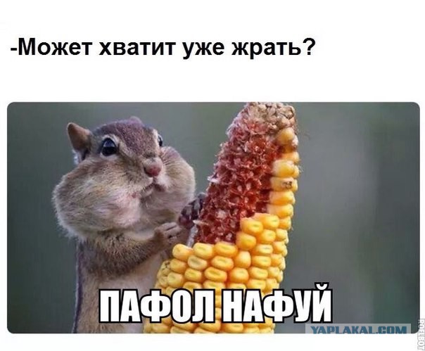 Прикольные картинки из соцсетей