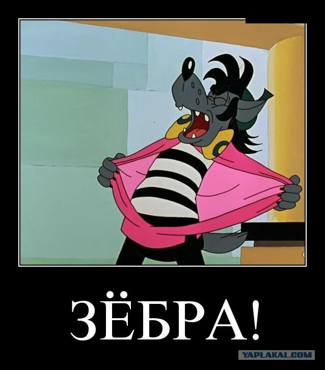 Баяны в чёрных рамках