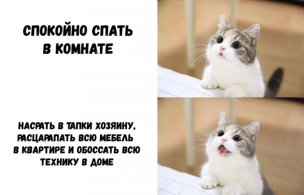 Приколы в стиле "регресс"