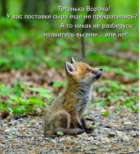 Забавные фото с надписями