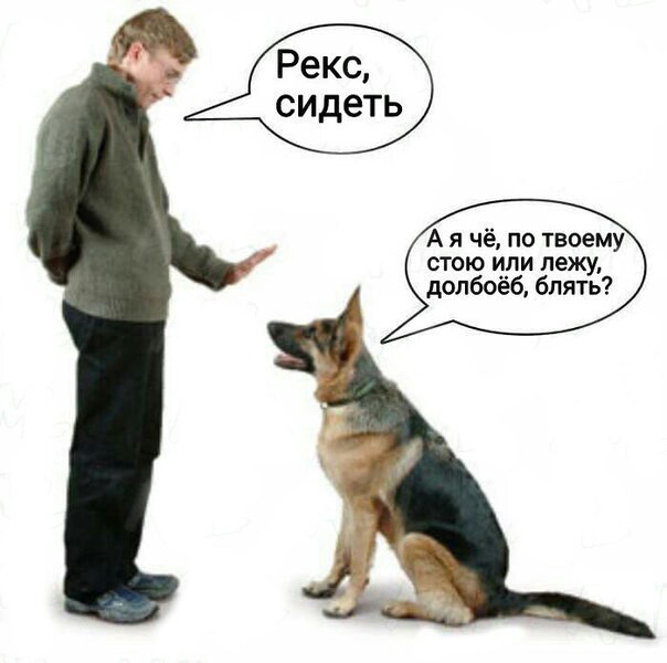 Смешные комментарии из социальных сетей 03.11.2017