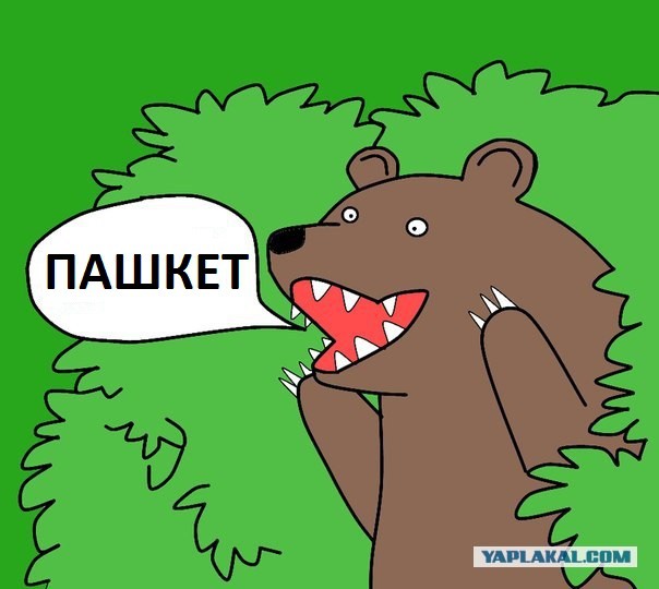 Здравствуйте, друзья! Я снова с Вами! С уважением, Пашкетт