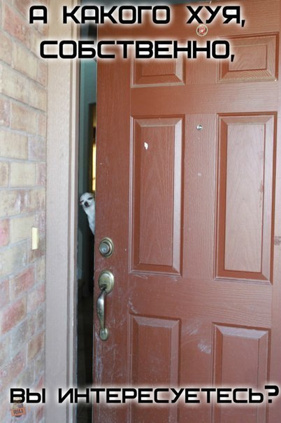 Как живёте-можете ?