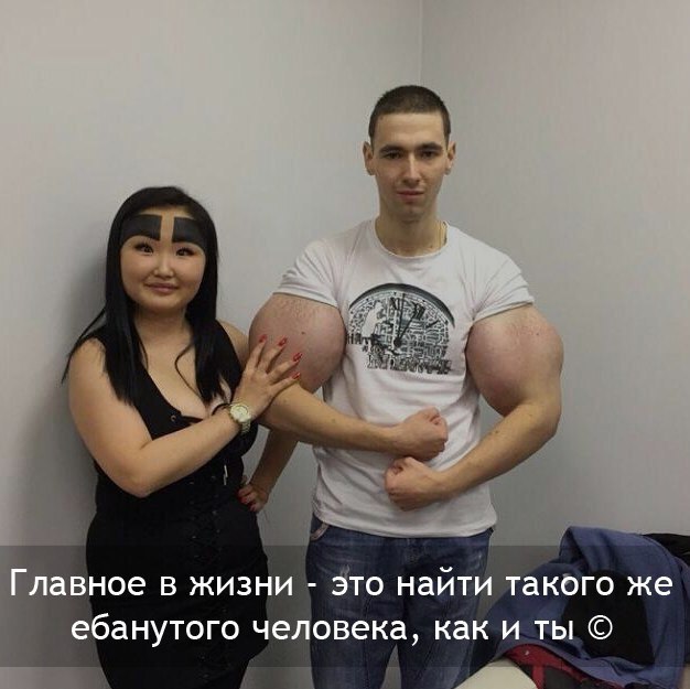 Скотсети и прочие интернеты 05.02.18