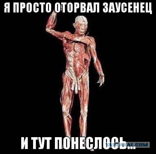 «Суд Камбиса» – картина, которая была написала 500 лет тому назад, но приводит в ужас служителей Фемиды и сегодня
