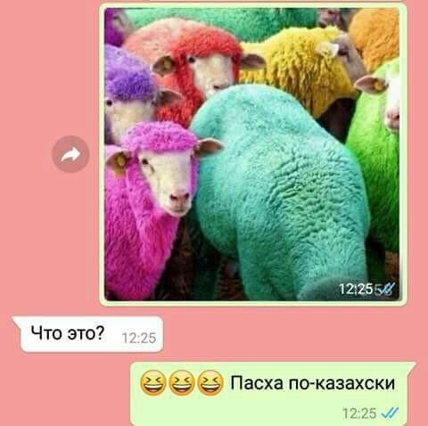 Смешные комментарии из социальных сетей 13.04.2018