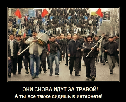 Не очень светлый и абсурдный юмор обо всём