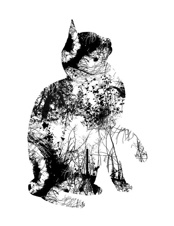 Лёгкое психическое отклонение ч7. Картинок пост 16+