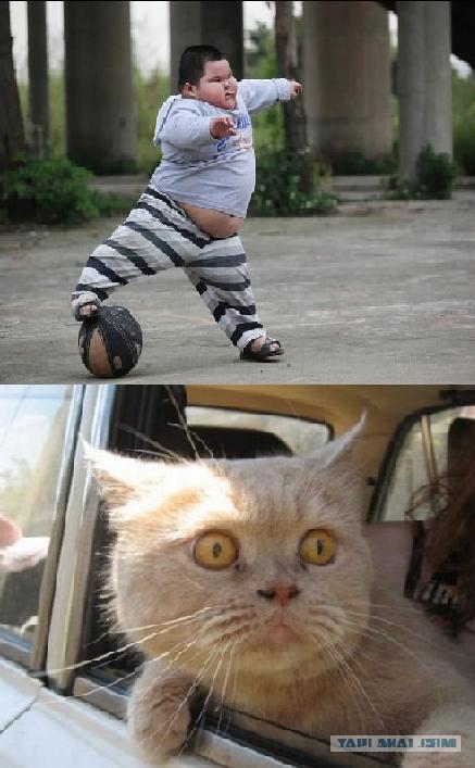 Уйди с дороги!Я еду!