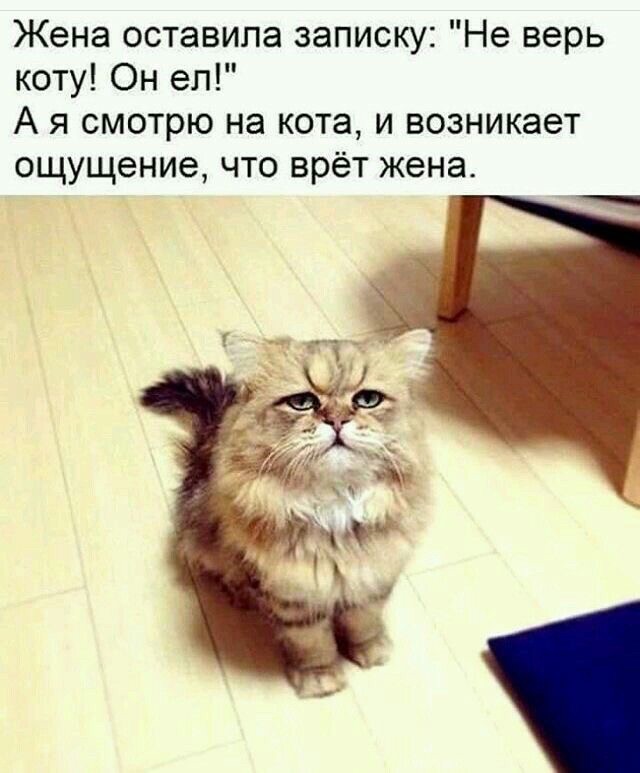 Подборка картинок 12.12