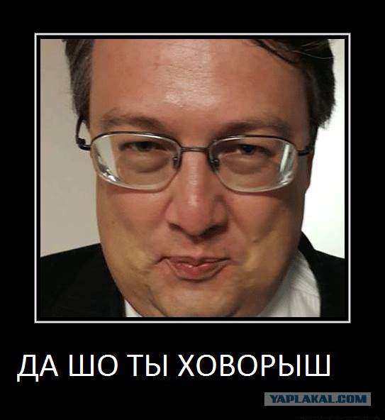 Видео: мужчина избил женщину и ее собак в Москве