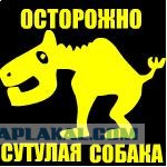 Аватары на заказ