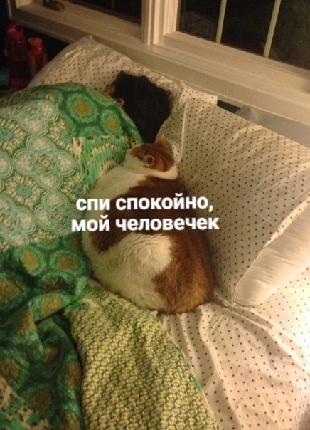 Бредзона 15.12.19