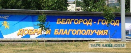 Жителя Белгорода арестовали из-за видео про обещания «Единой России» в соцсети.