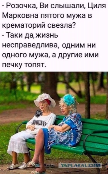 Мужчины умнеют. Женщины негодуют