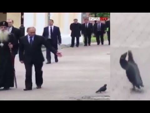 Птица сбила летящую к танку американскую ракету TOW