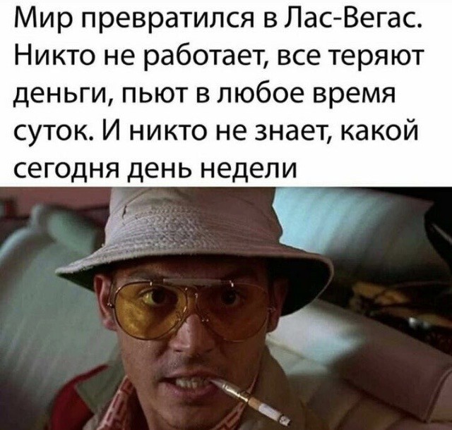 14303538.jpg