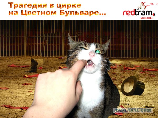 Фотожаба: Желтая пресса