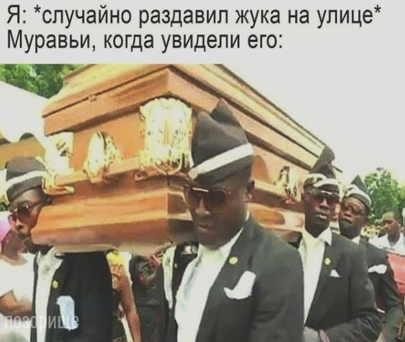 Юмор в картинках 24.07.20
