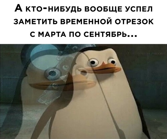 Немного картинок для настроения 09.09.20
