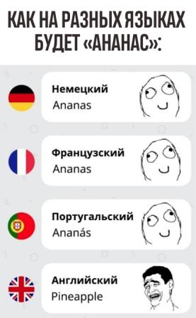 Картинки разные для поднятия настроения