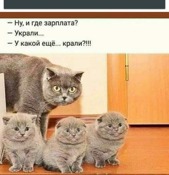 Юмор в картинках 11.11.2020.