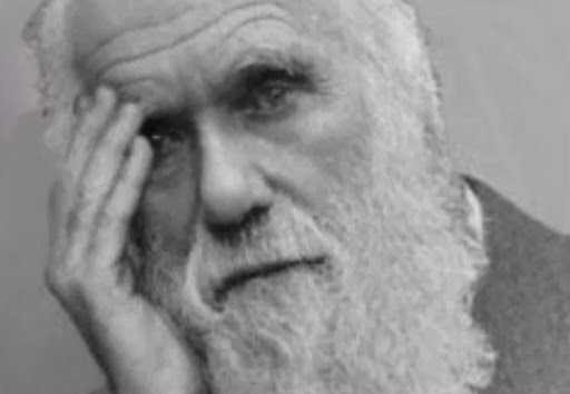 Новое исследование проливает свет на "ужасную тайну" Дарвина, преследовавшую его до конца жизни