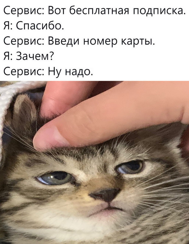 Весёлый полтишок 19.03