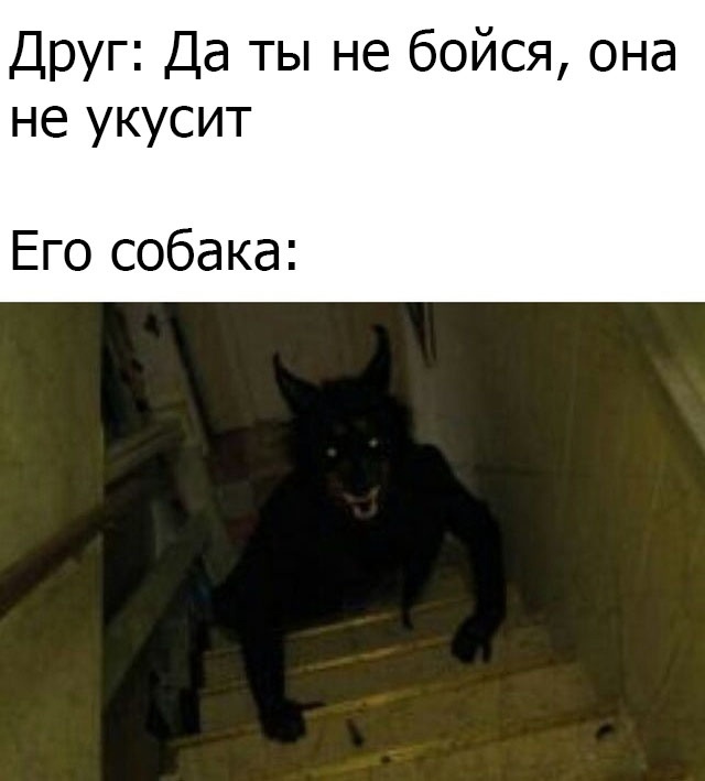 Так себе картинки 05.04.21