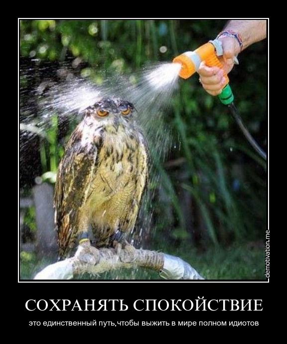 Мой хозяин - ИДИОТ!