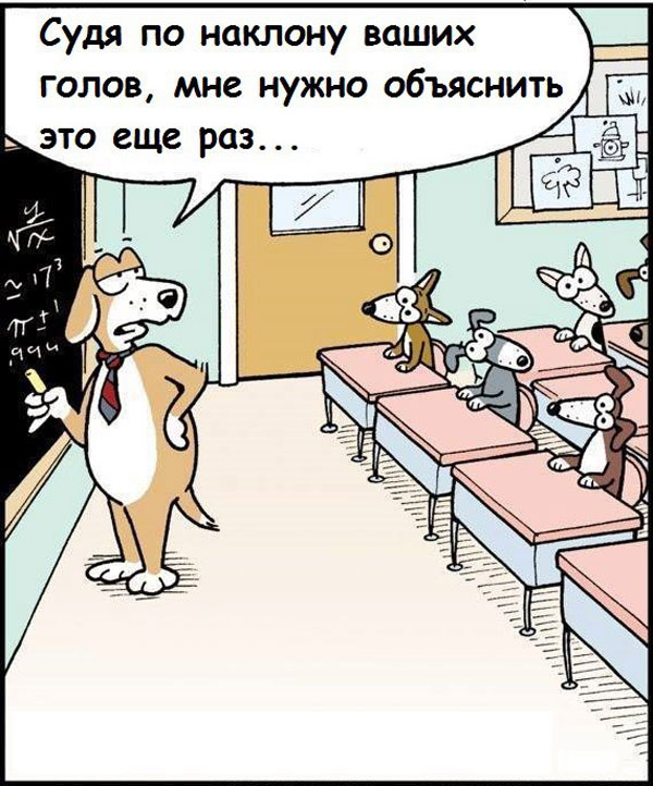 Весёлый полтишок 18.07