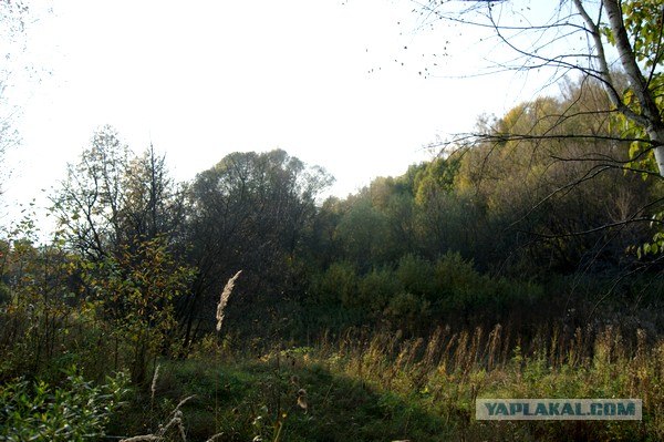 Осень в банках
