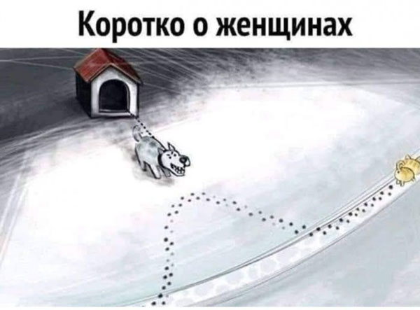 Картинки для тех, кого не убило похмелье