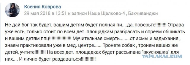 Охотница выложила в "Инстаграм" момент убийства козерога в Республике Алтай, а также свою фотосессию на фоне "трофея".