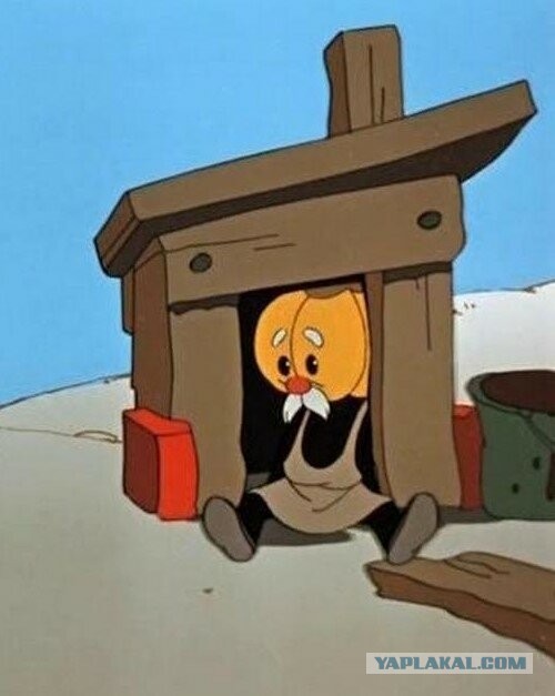 Освоение участка. Микробытовка за макроденьги