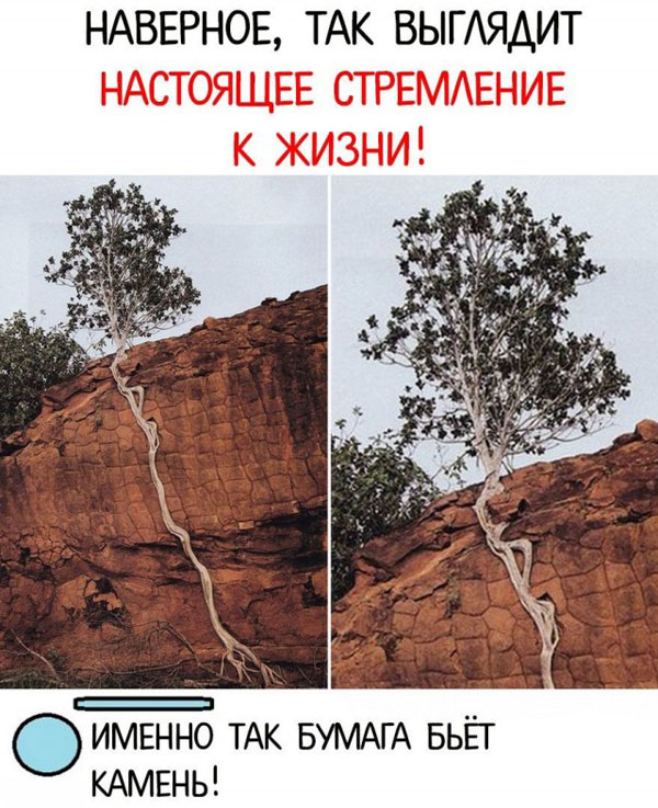 Все азиаты на одно лицо