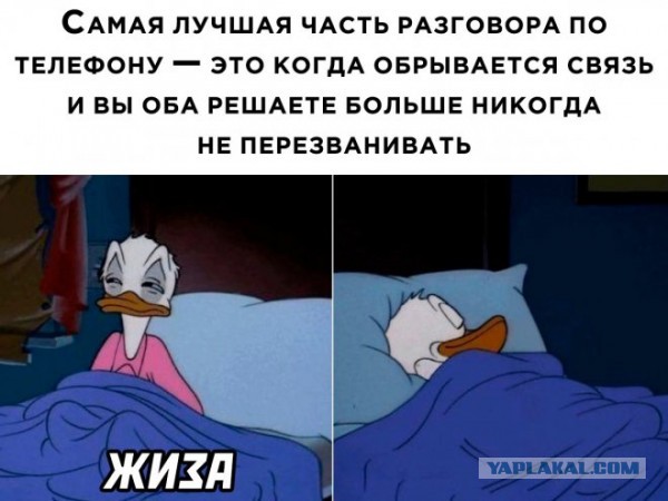 Подборка смешных картинок на ночь 31.10.22