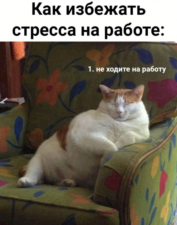 Немного картинок для настроения - 117